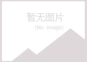 鹤岗兴山青亦体育有限公司